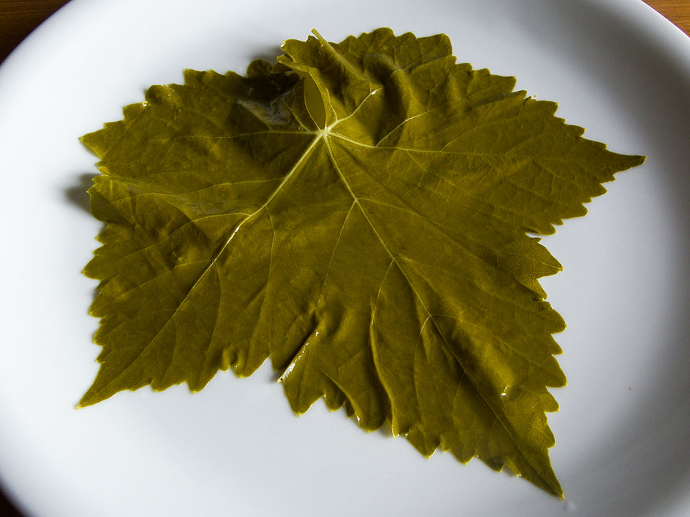 Stuffed Vine Leaves & The Ultimate Dolma Machine