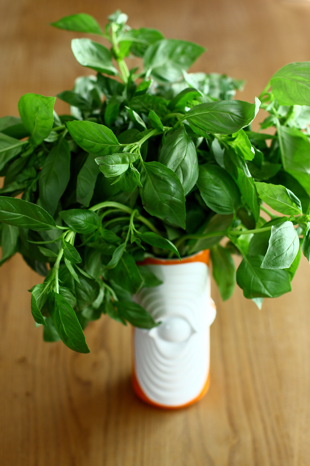 Basil Pesto Recipe