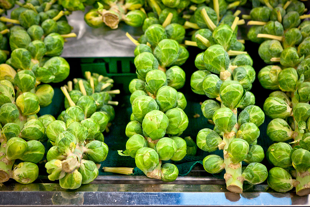 Berkeley Bowl - Brussels Sprouts