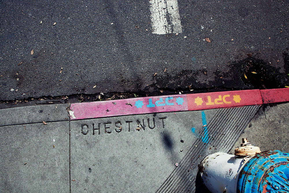 Chestnut Street San Francisco