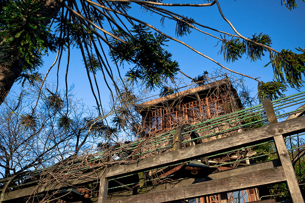 Chez Panisse