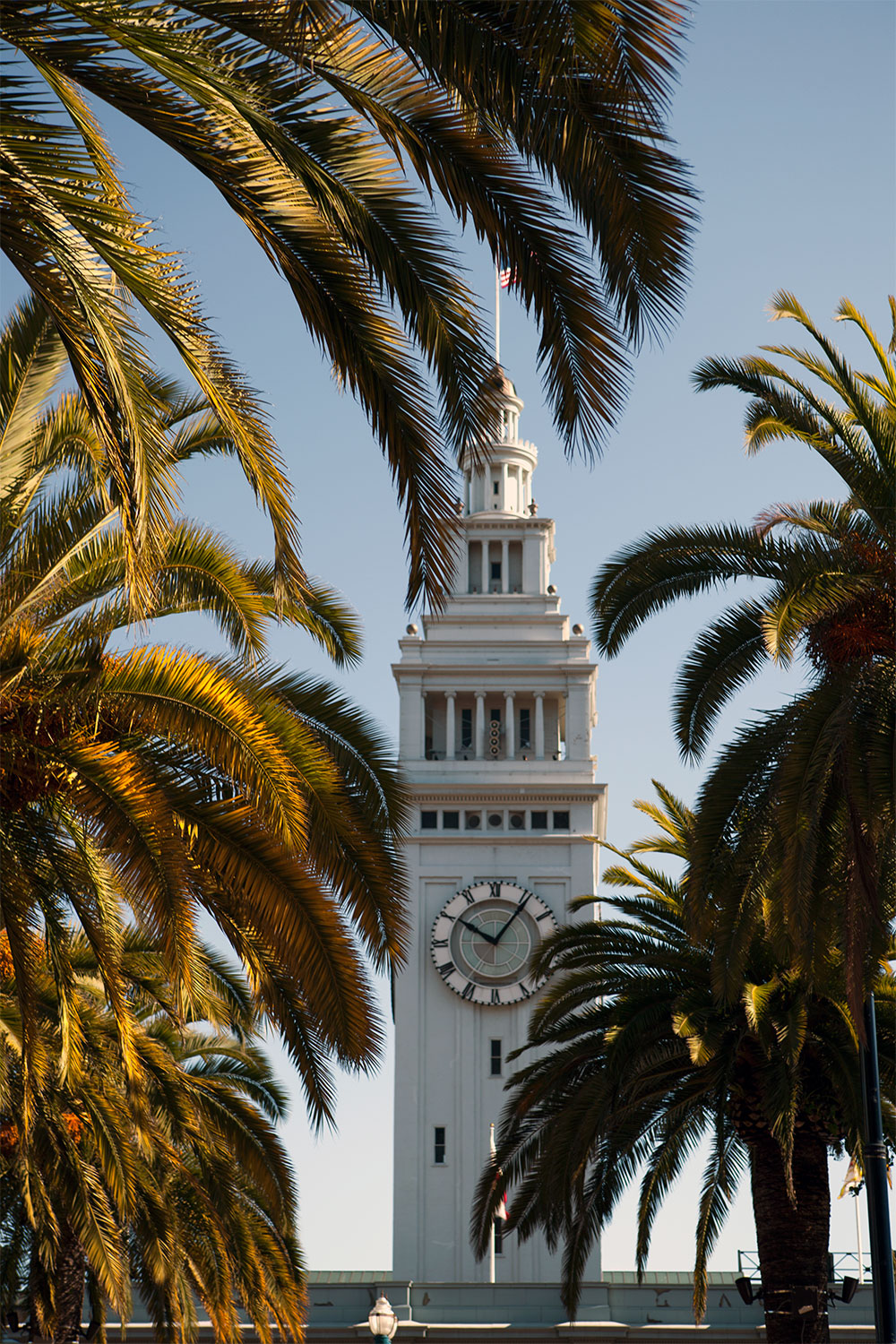 Ferry Plaza Farmers Market