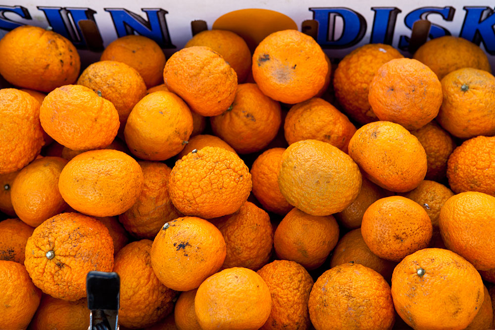 Ferry Plaza Farmers Market 5