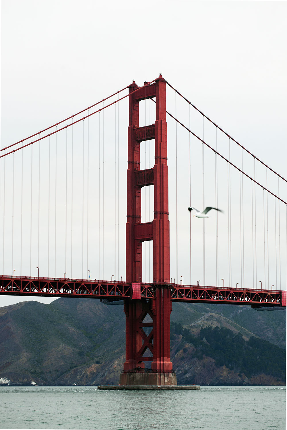 Golden Gate Köprüsü 3