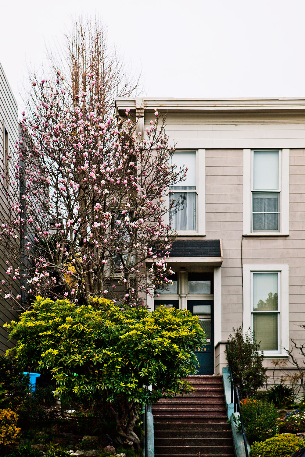 Pacific Heights San Francisco