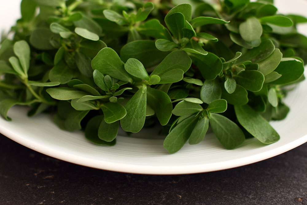 Purslane