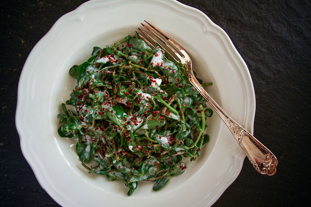 Purslane Salad 